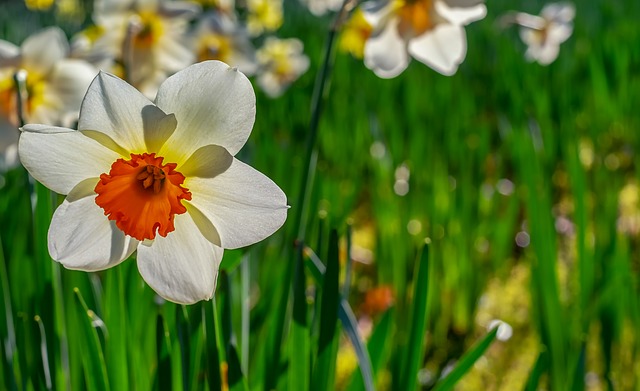 Celebrate a Traditional Easter in Denmark