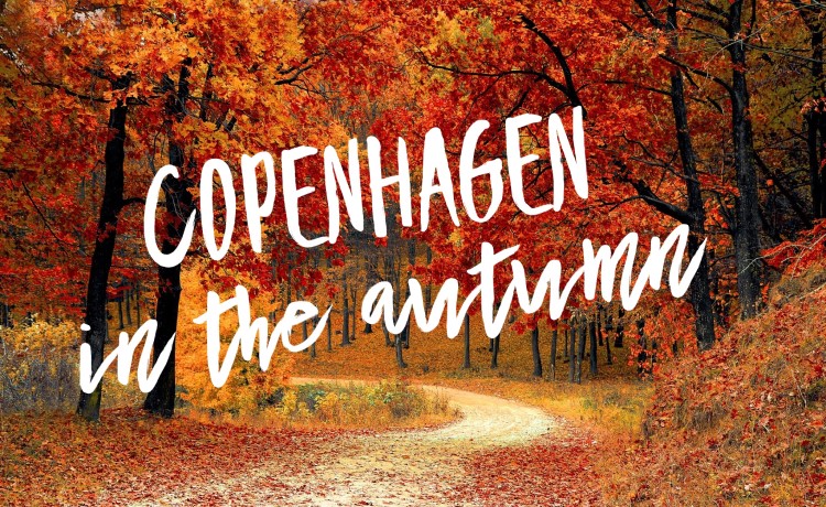 What to do in Copenhagen in Autumn