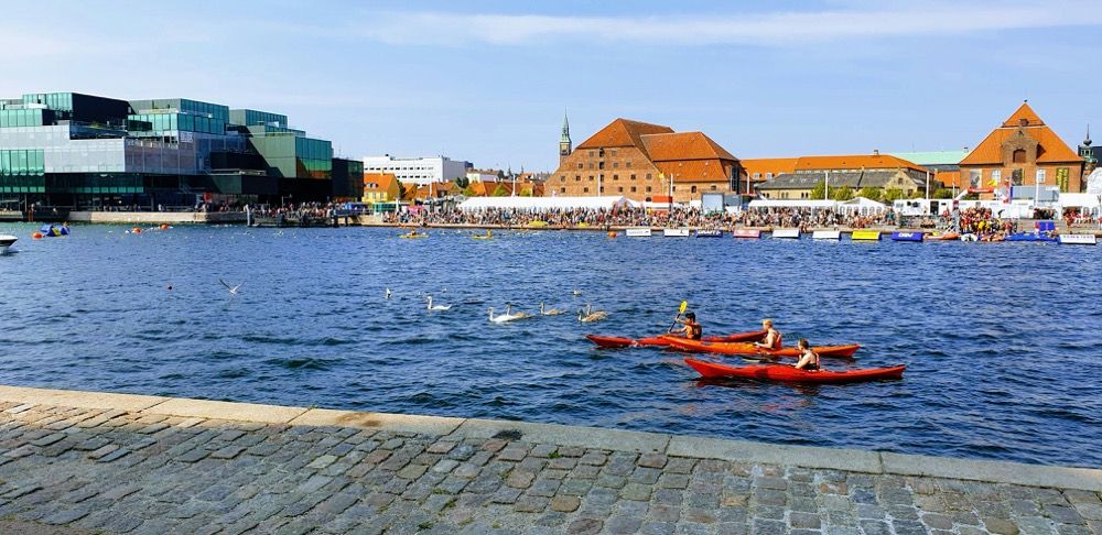 Summer Fun on the Water in Copenhagen