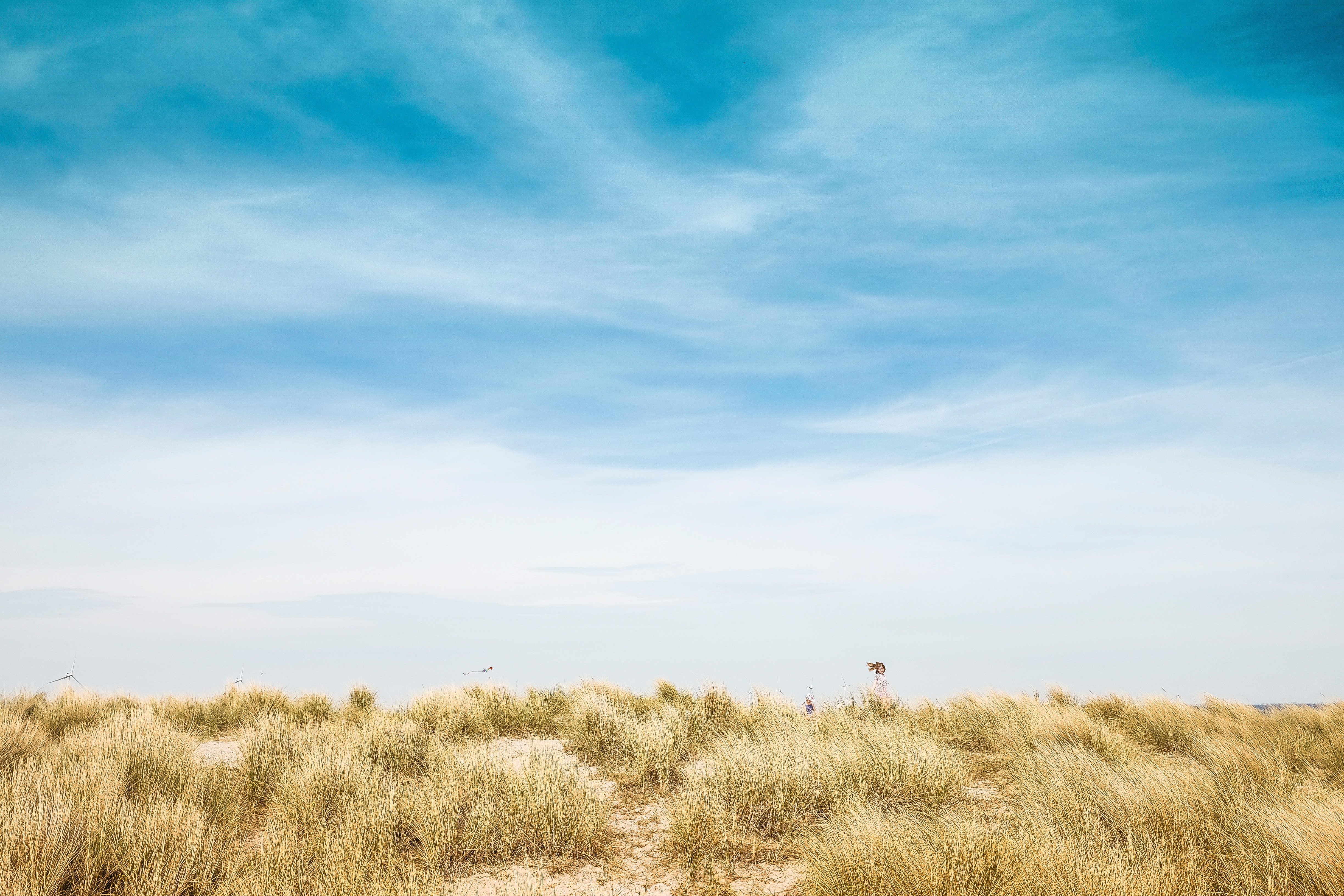 Enjoy Copenhagen's Beaches this Summer