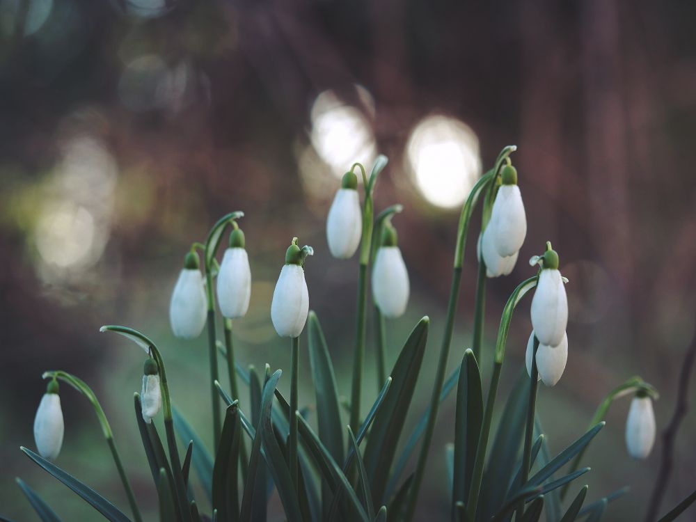 Celebrate a Traditional Easter in Denmark