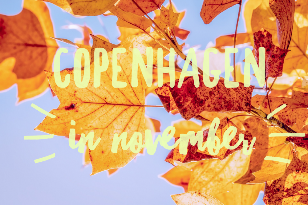 What to Do this November in Copenhagen
