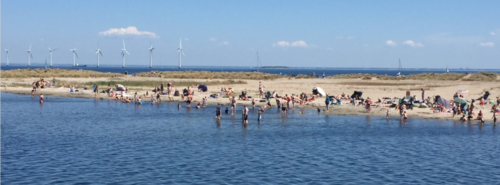 Visiting the Beach in Copenhagen