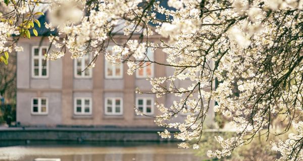 Explore Frederiksberg Neighbourhood in Copenhagen